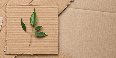LCB Cardboard Desktop v2